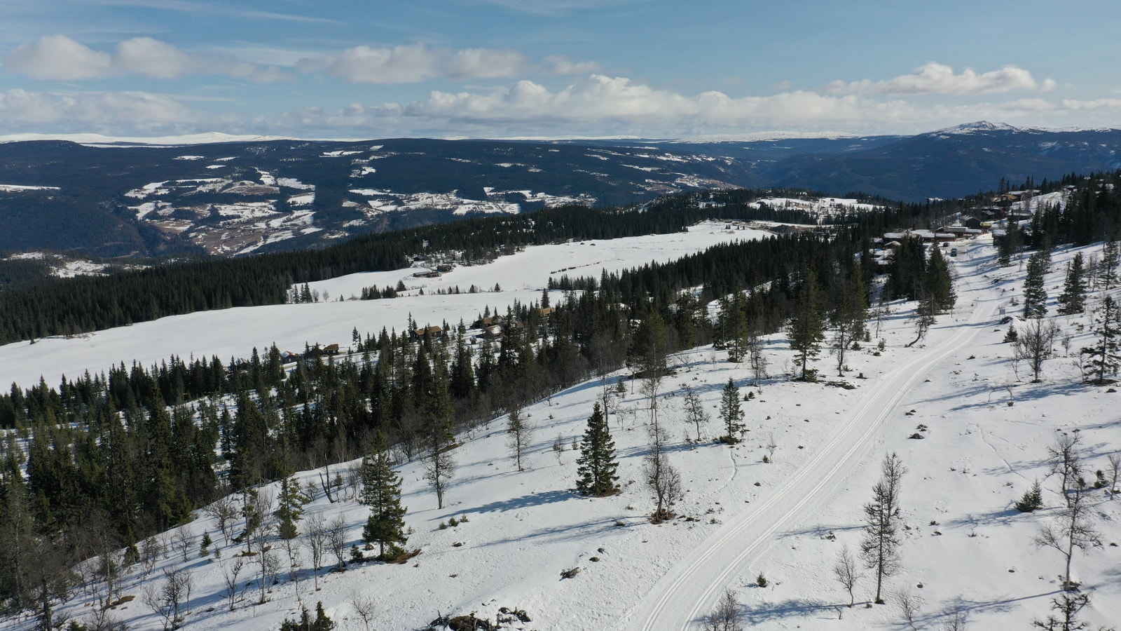 Hestknappen 2 vår 2022 Galleribilde