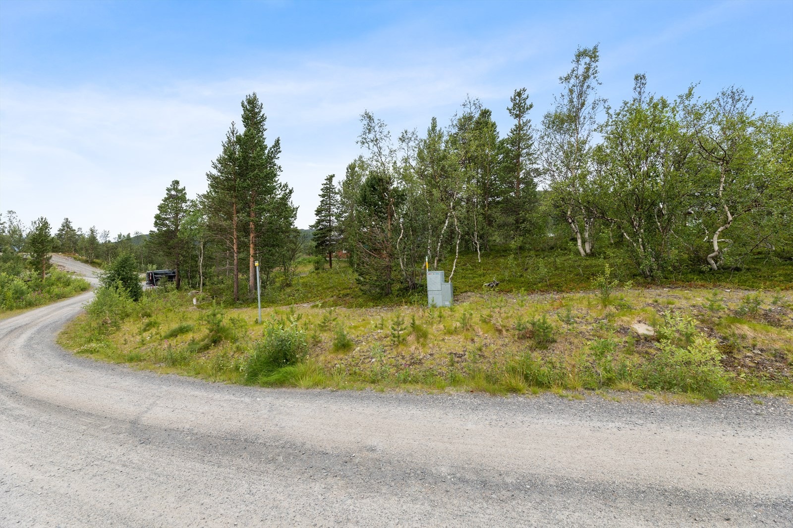 Tomt Galleribilde