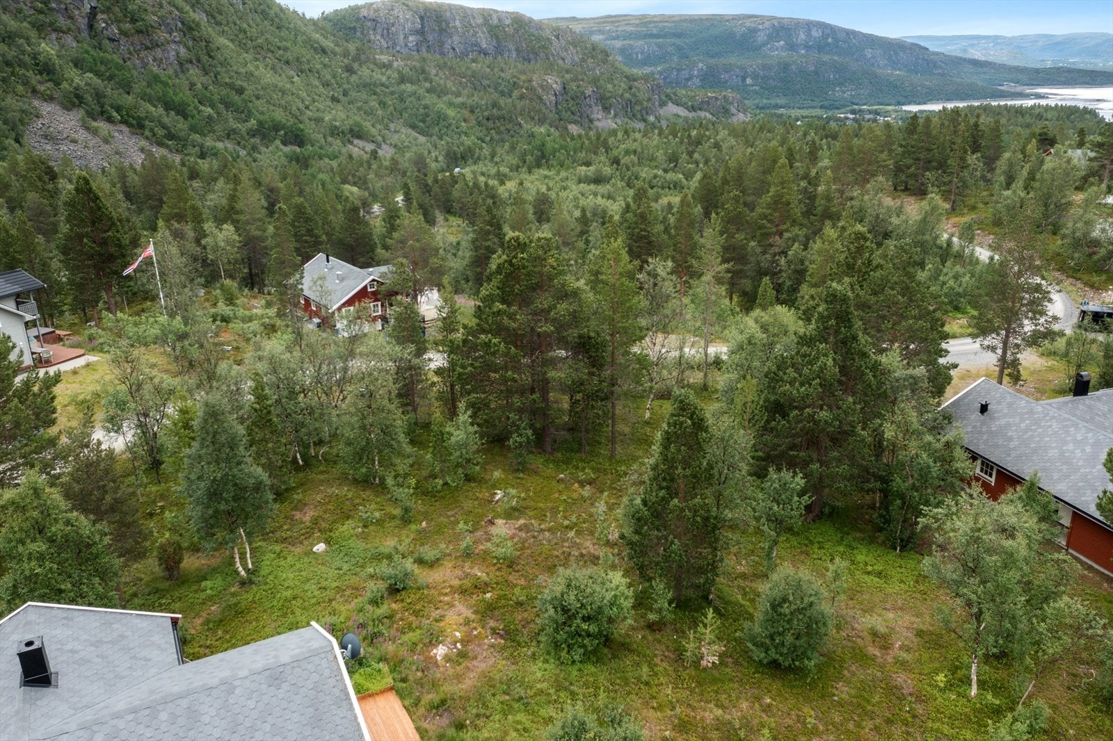 Tomt Galleribilde