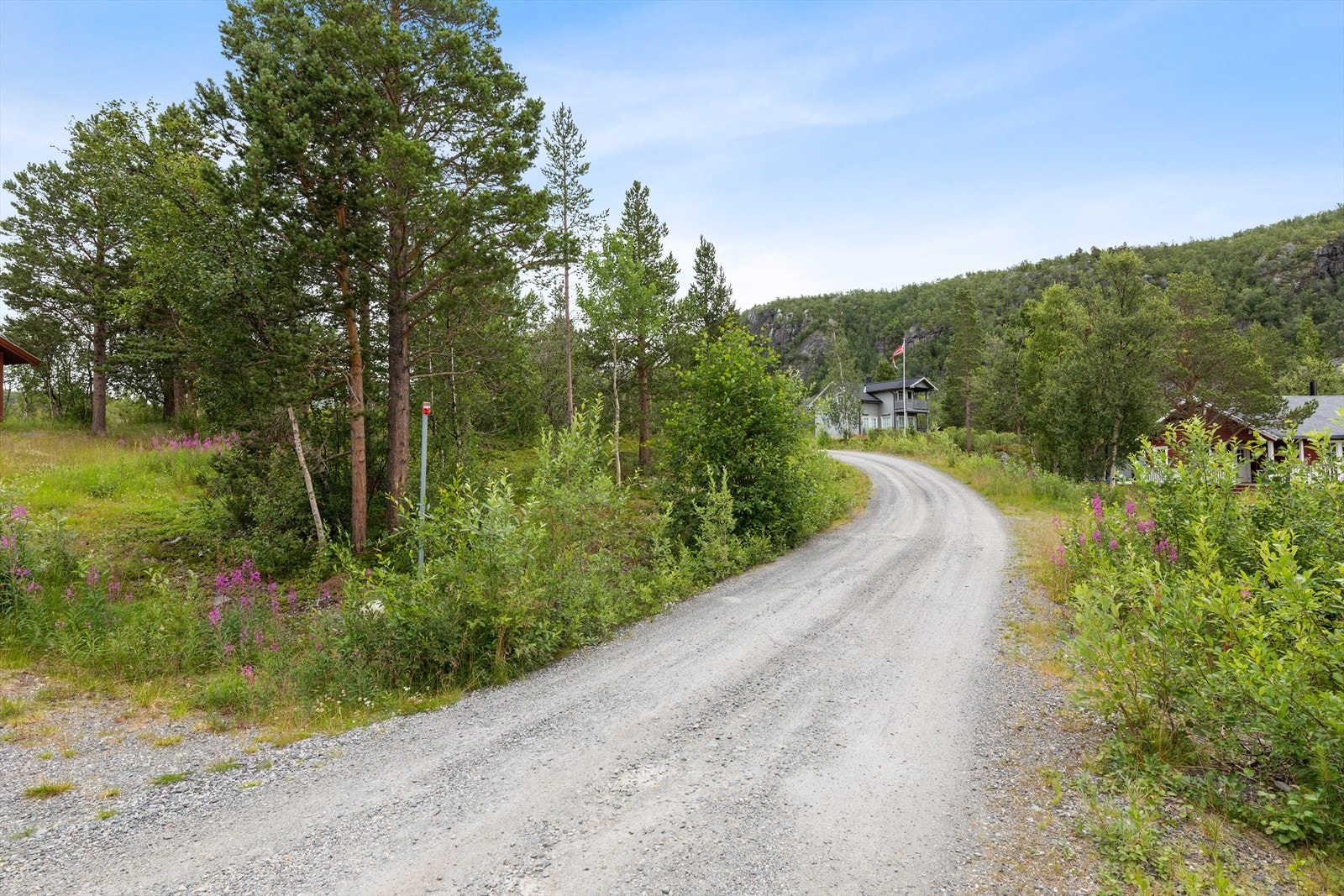 Tomt Galleribilde