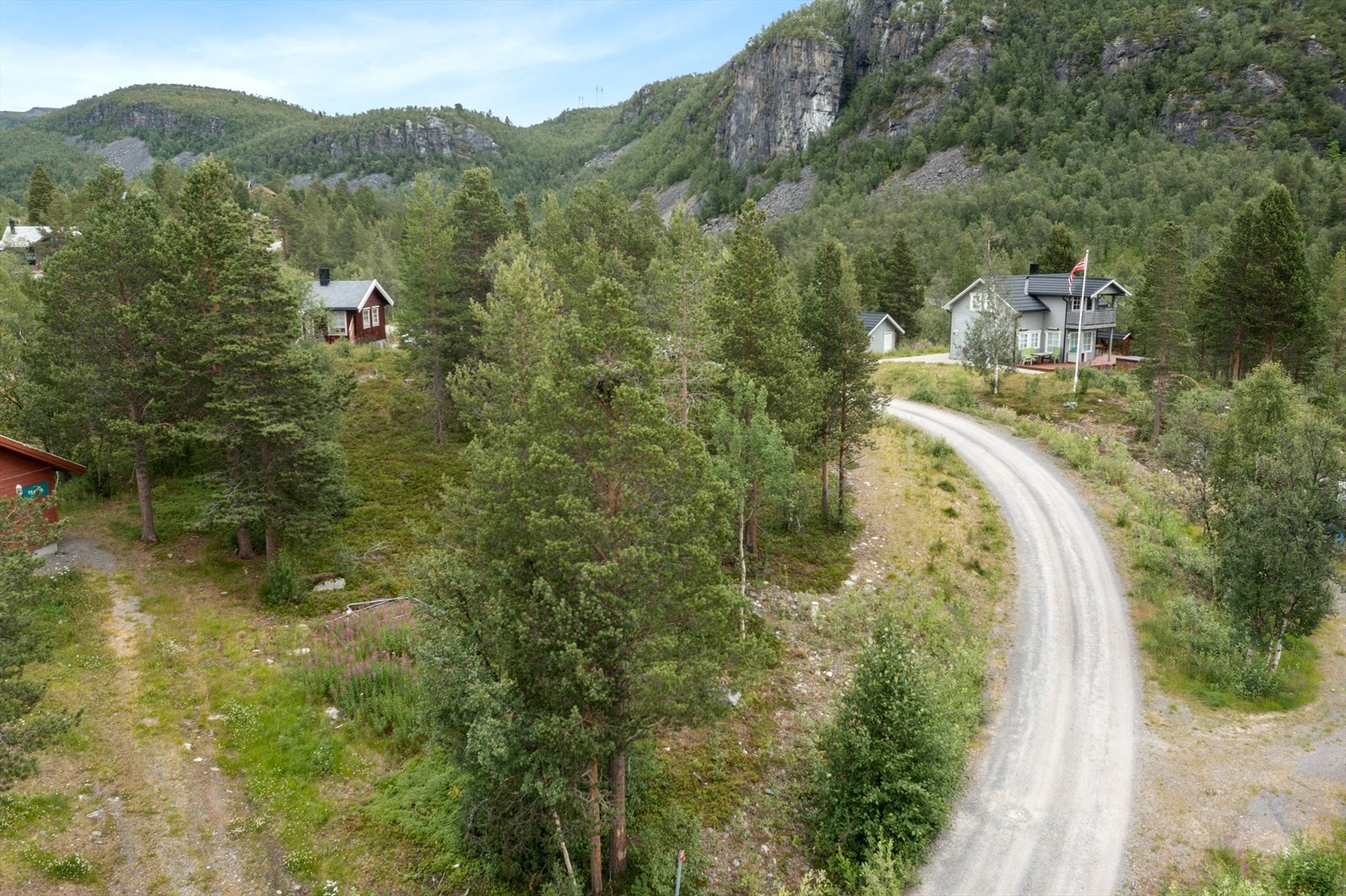 Tomt Galleribilde