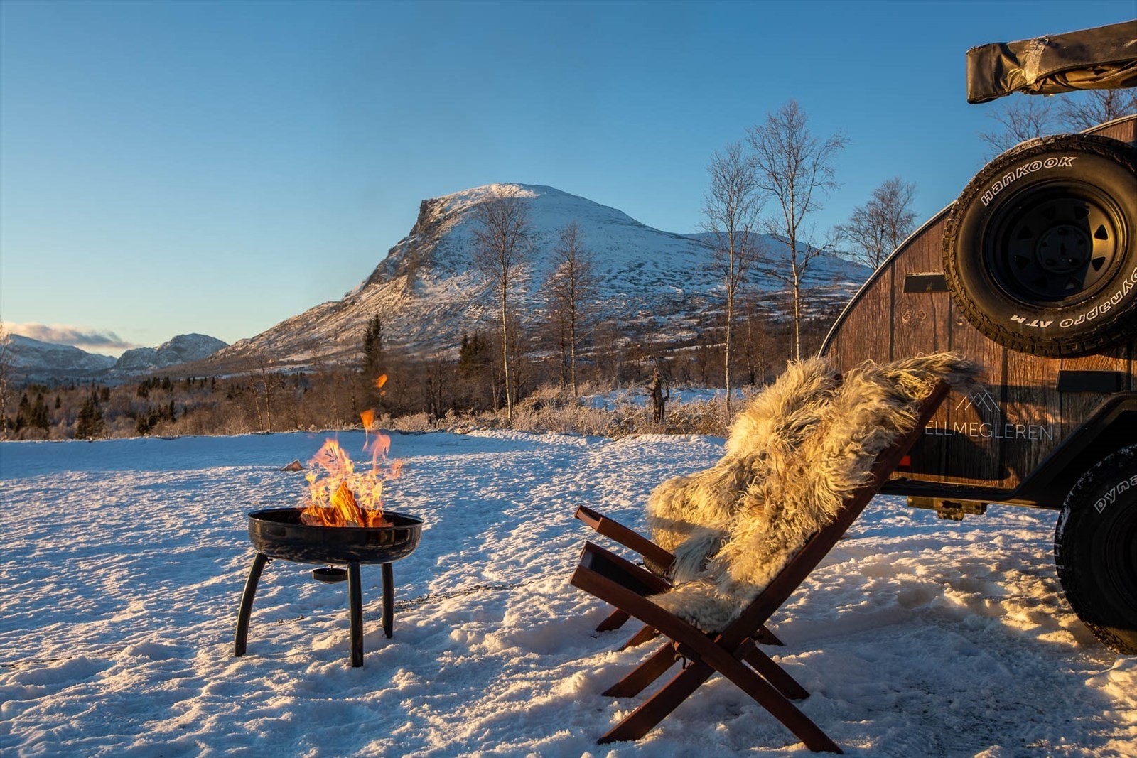 Skogshorn mot vest Galleribilde