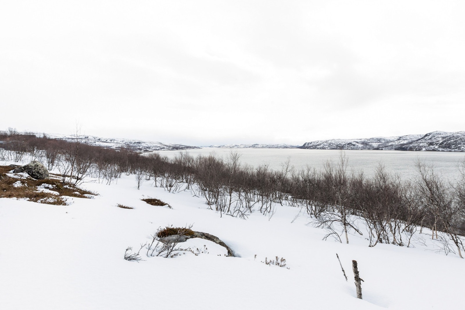 Utsikt vinter Galleribilde