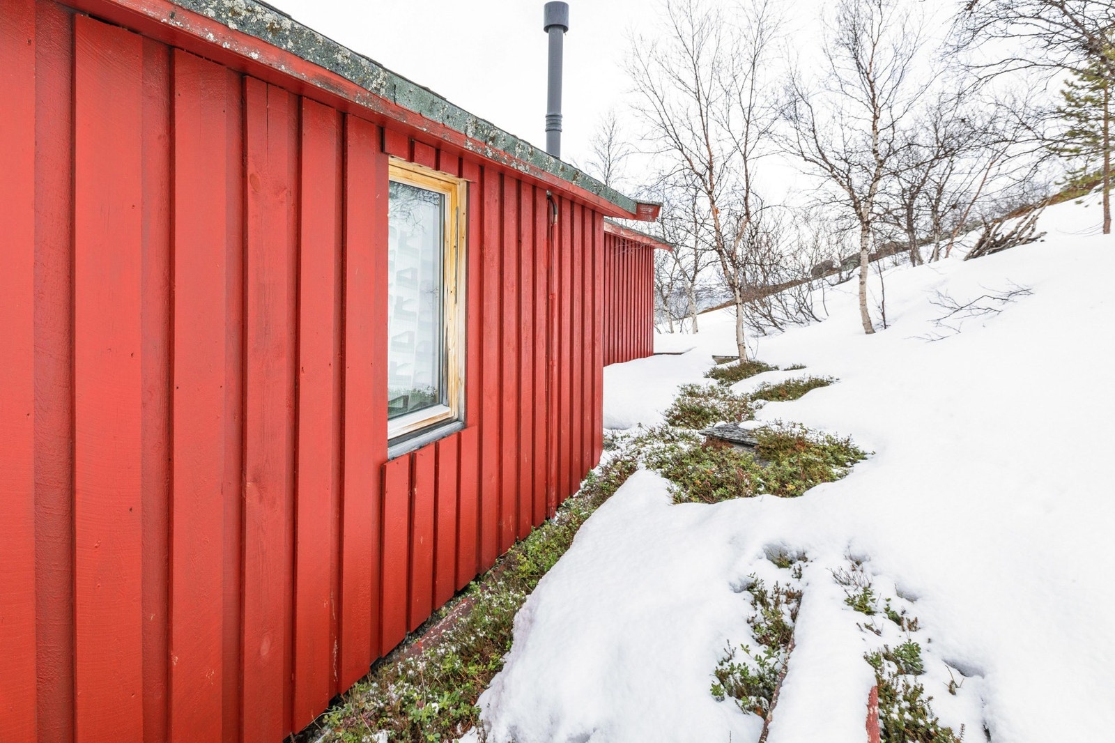 Bakside Galleribilde