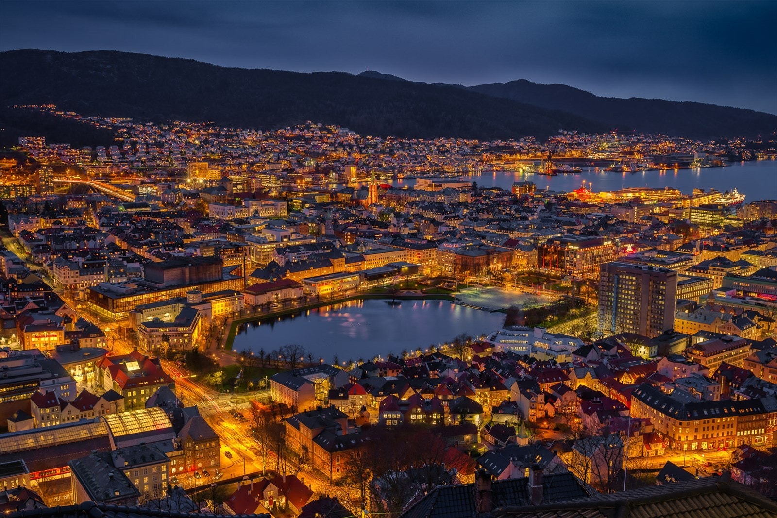En liten gåtur opp til Fløyen og du kan få denne nydelige utsikten. Galleribilde