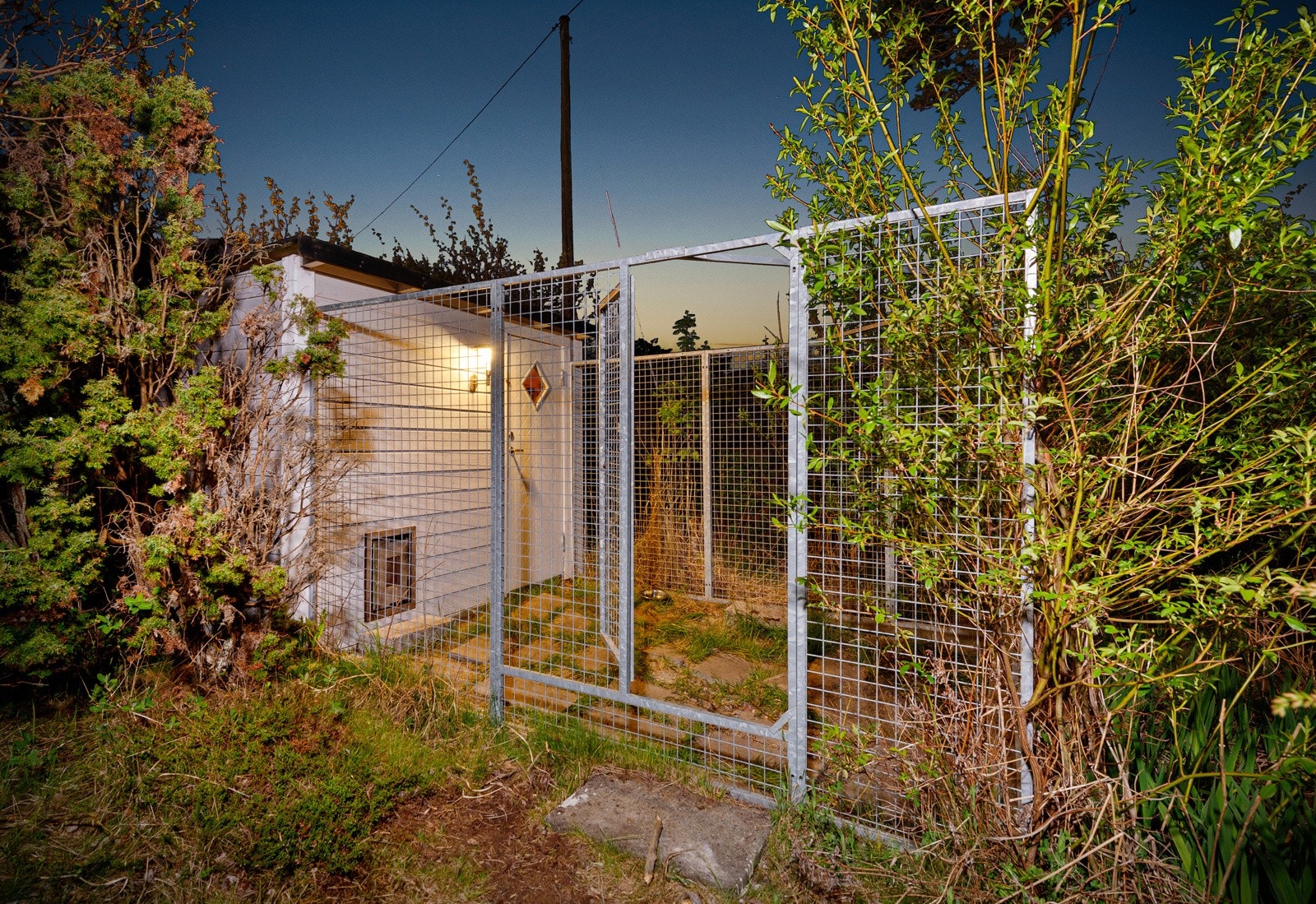 Tomten er meget velegnet for hundehold, med både hundehus, hundegård og inngjerdet areal Galleribilde