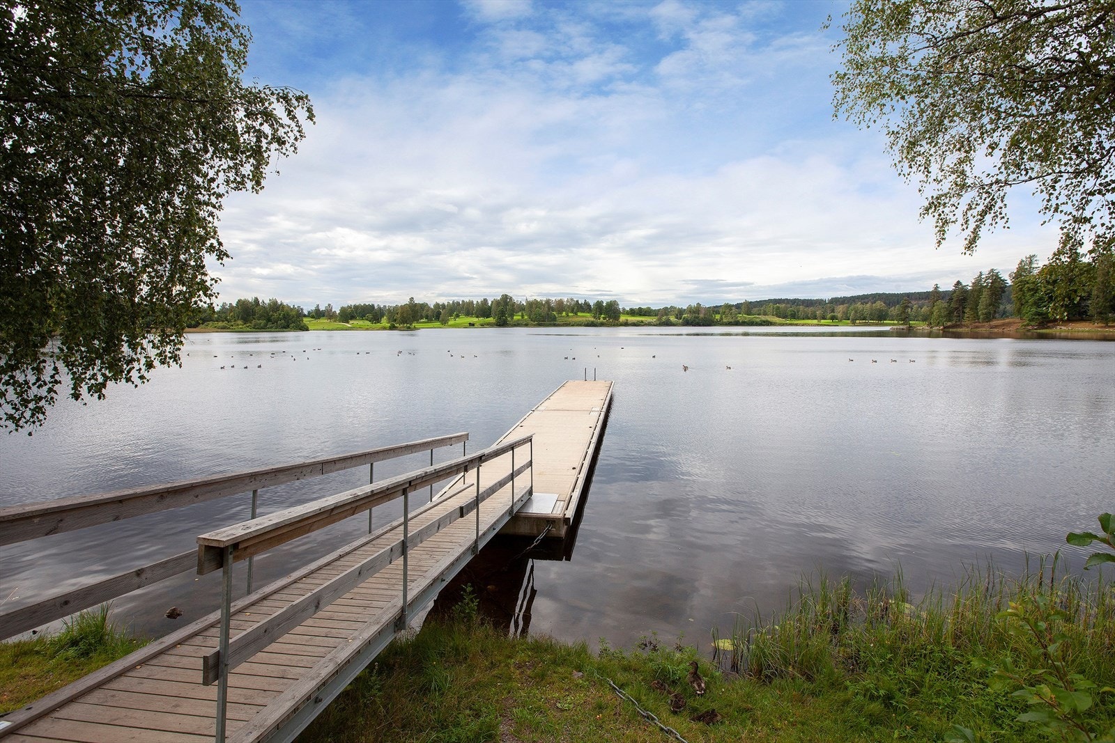 Bogstadvannet byr på mulighet for bading og grilling på sommerstid. Galleribilde