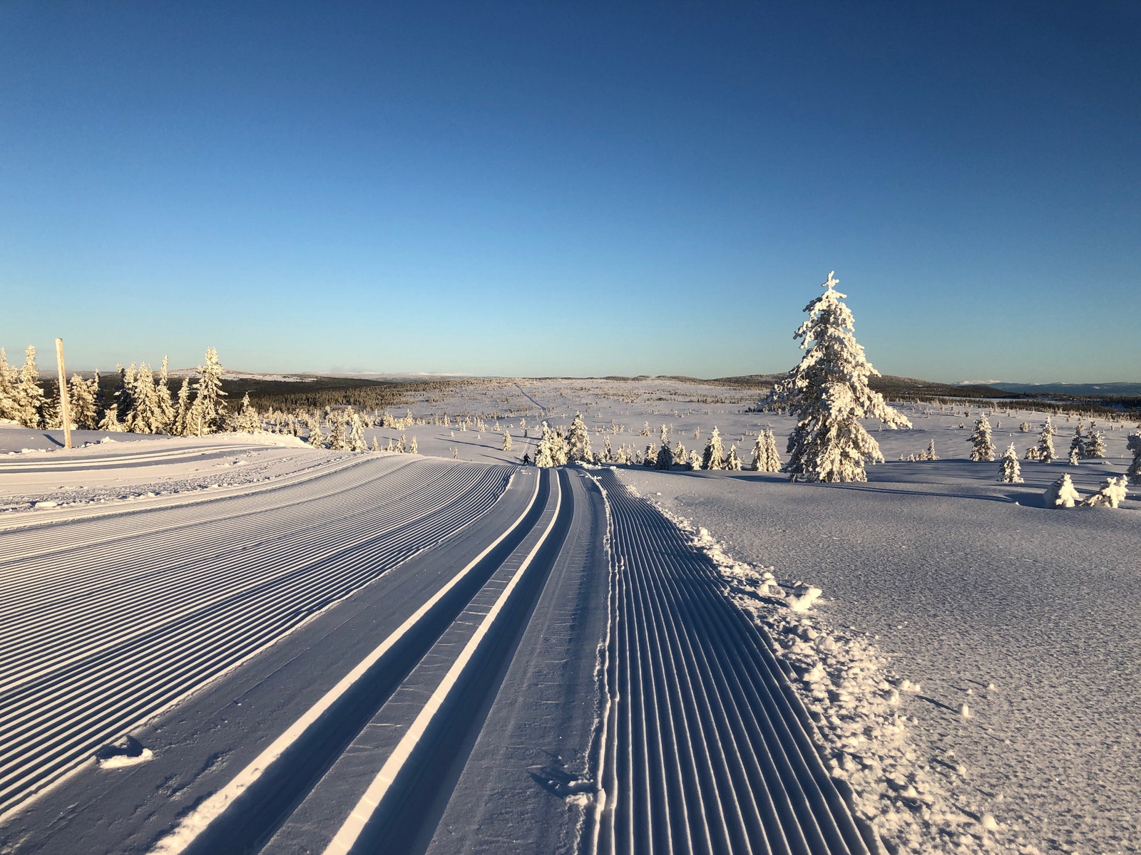 Over 300 km oppkjørte løyper på Hedmarksvidda. Galleribilde