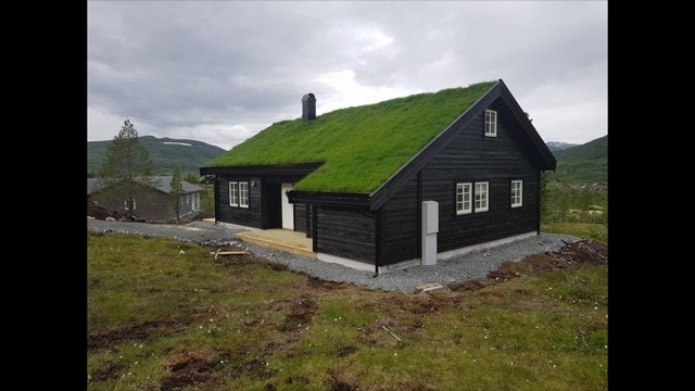 Berakupen med enkelfalset kledning og torvtak. Galleribilde