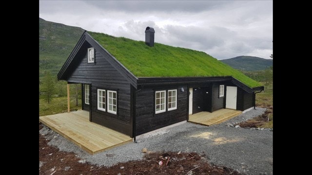 Berakupen med enkelfalset kledning og torvtak. Galleribilde