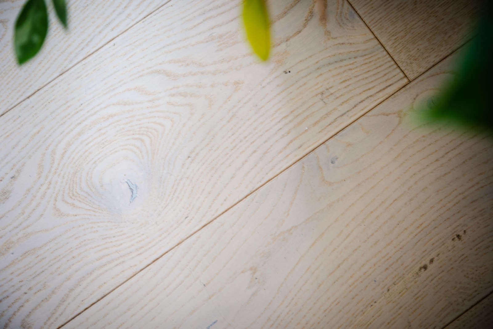 Den lekre enstavs parketten gjør seg fint opp i mot veggfargene. Galleribilde