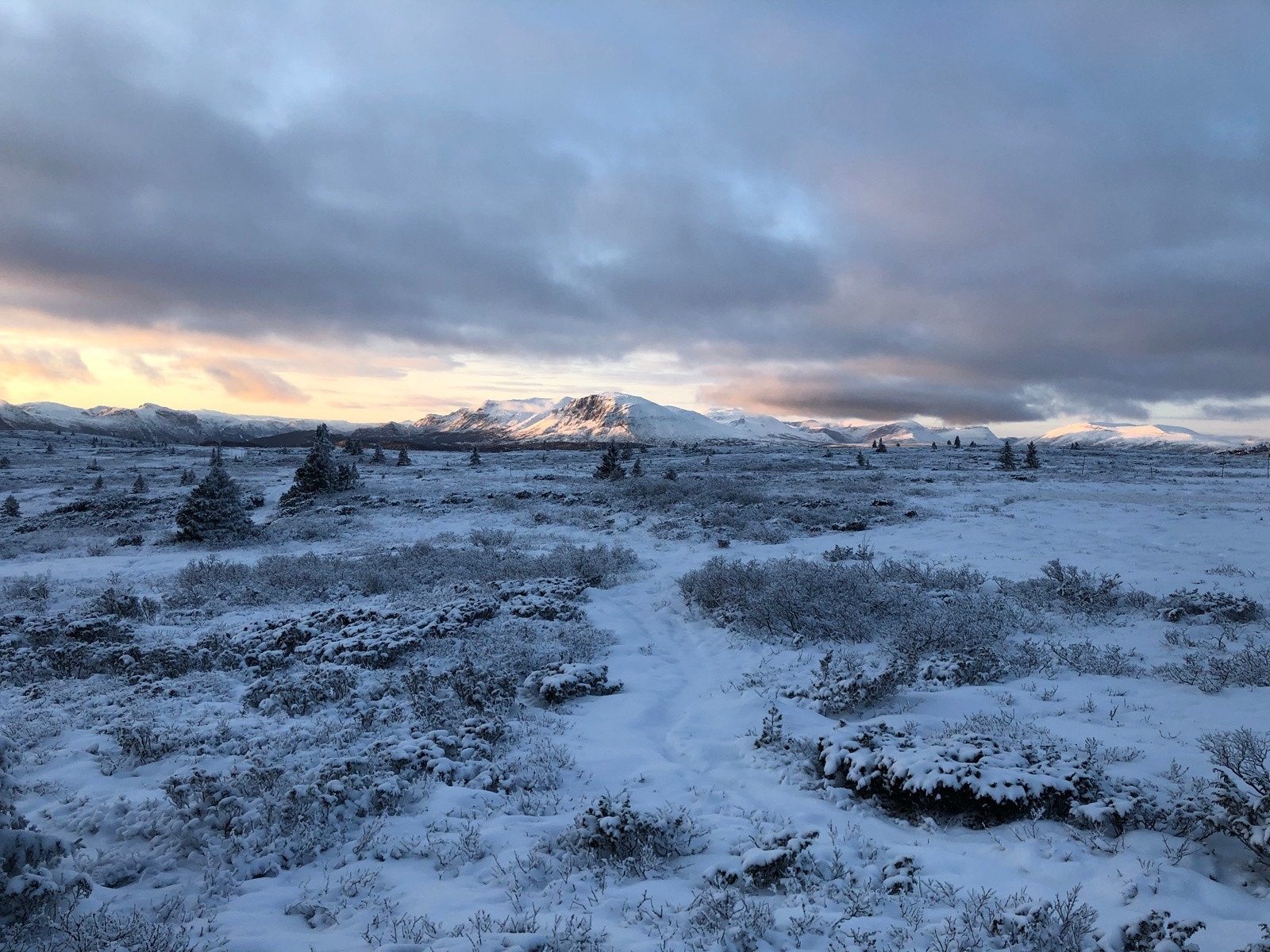 Området kan by på fine naturopplevelser. Galleribilde