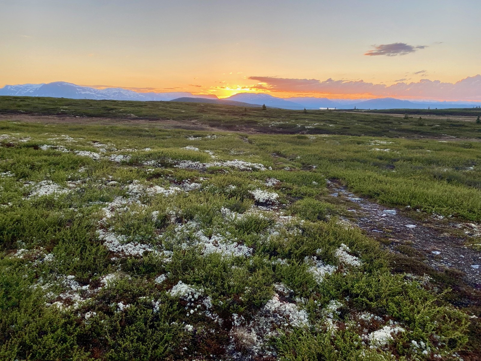 Sensommerbilde fra hyttefeltets nærområde. Galleribilde