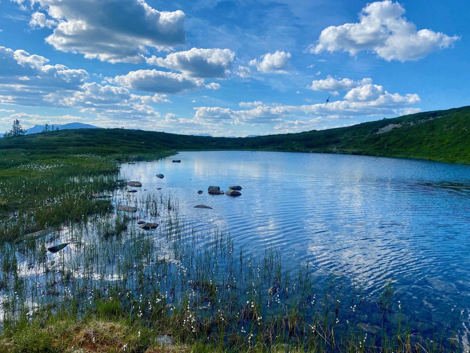 Hyggelig fjellvann i nærområdet. Galleribilde