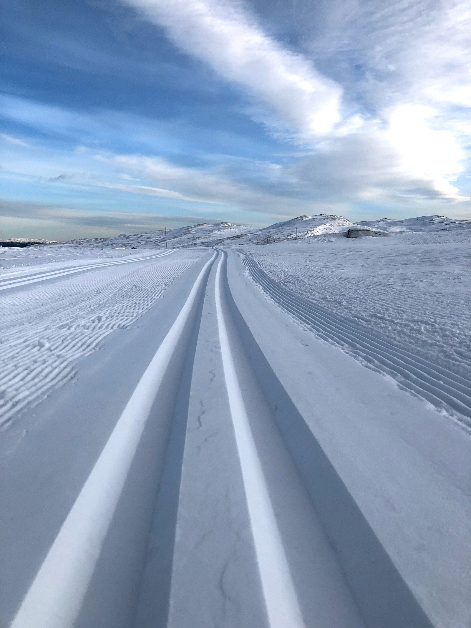 Bilde fra skiløype i nærområdet. Galleribilde