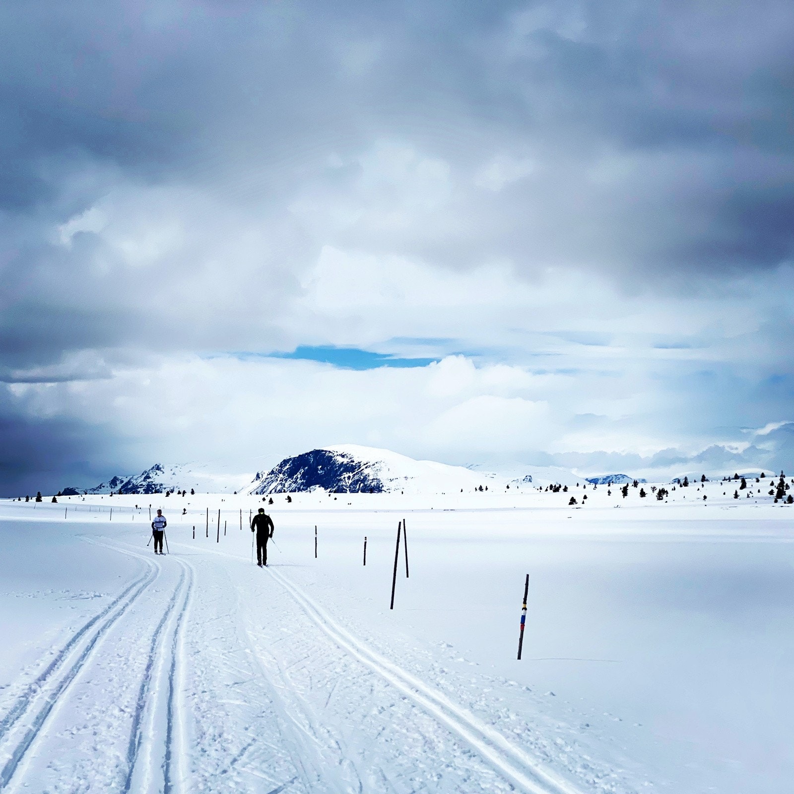 Her kan man gå "mil etter mil" på høyfjellet. Galleribilde
