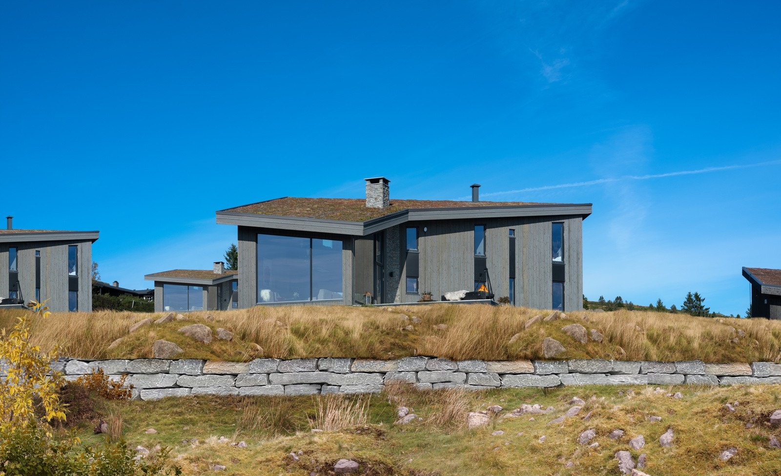 Velkommen til Gullknappvegen 61! Galleribilde