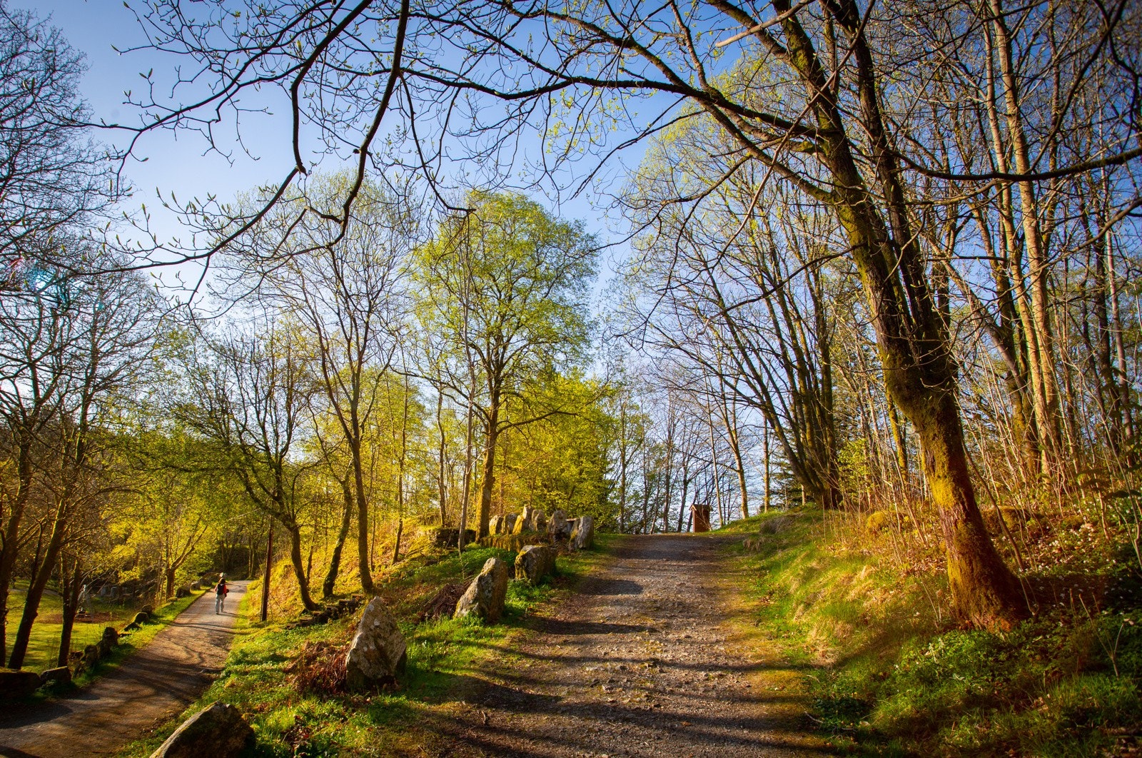 Umiddelbar nærhet til fantastisk natur og flotte tur- og fritidsmuligheter. Galleribilde