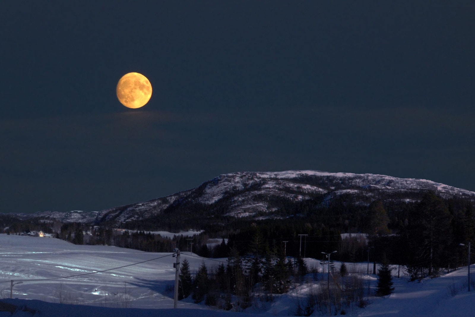 Foto: John Erik Furre Galleribilde