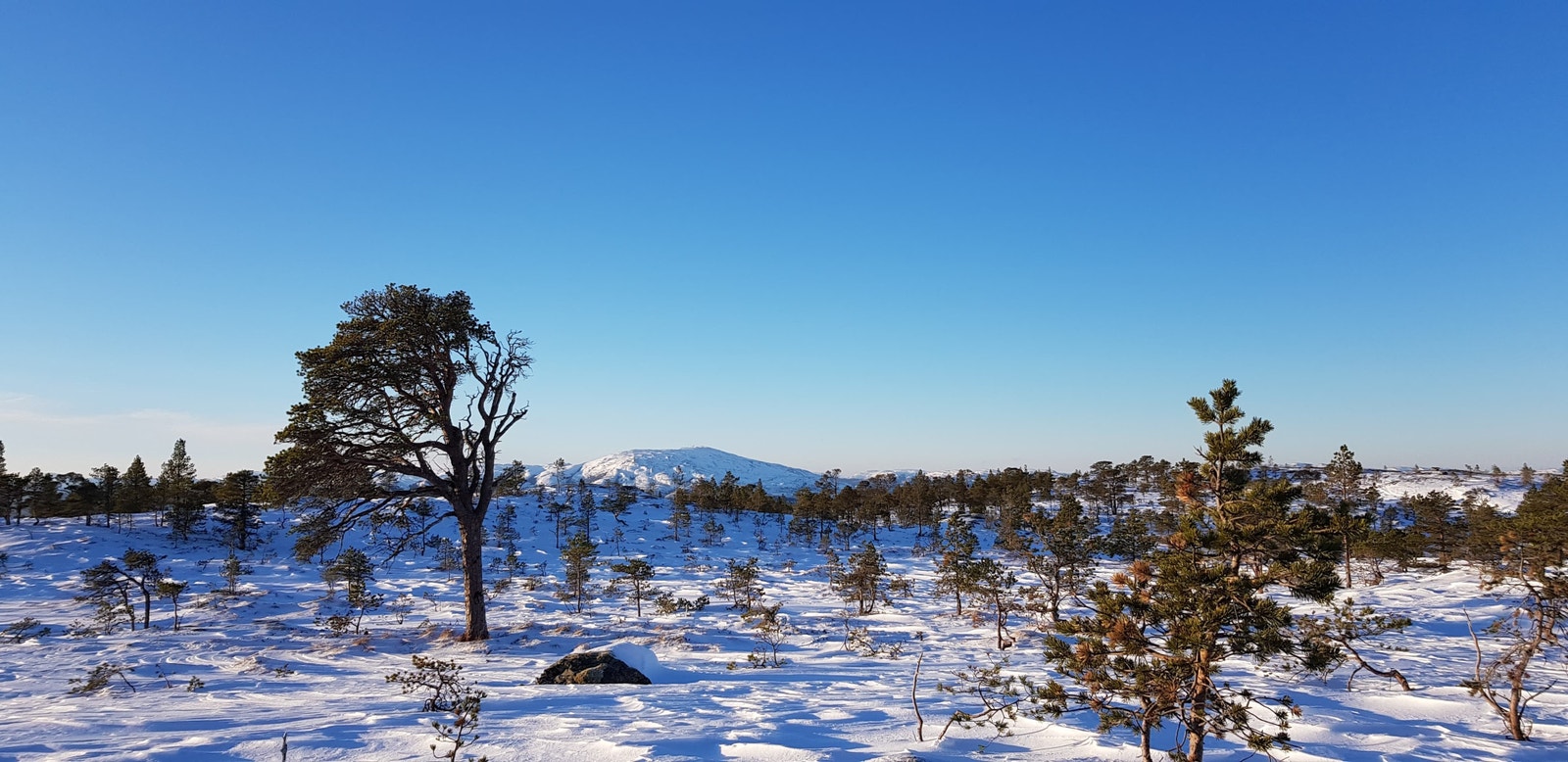 Foto: Ragnhild Eidshaug Galleribilde