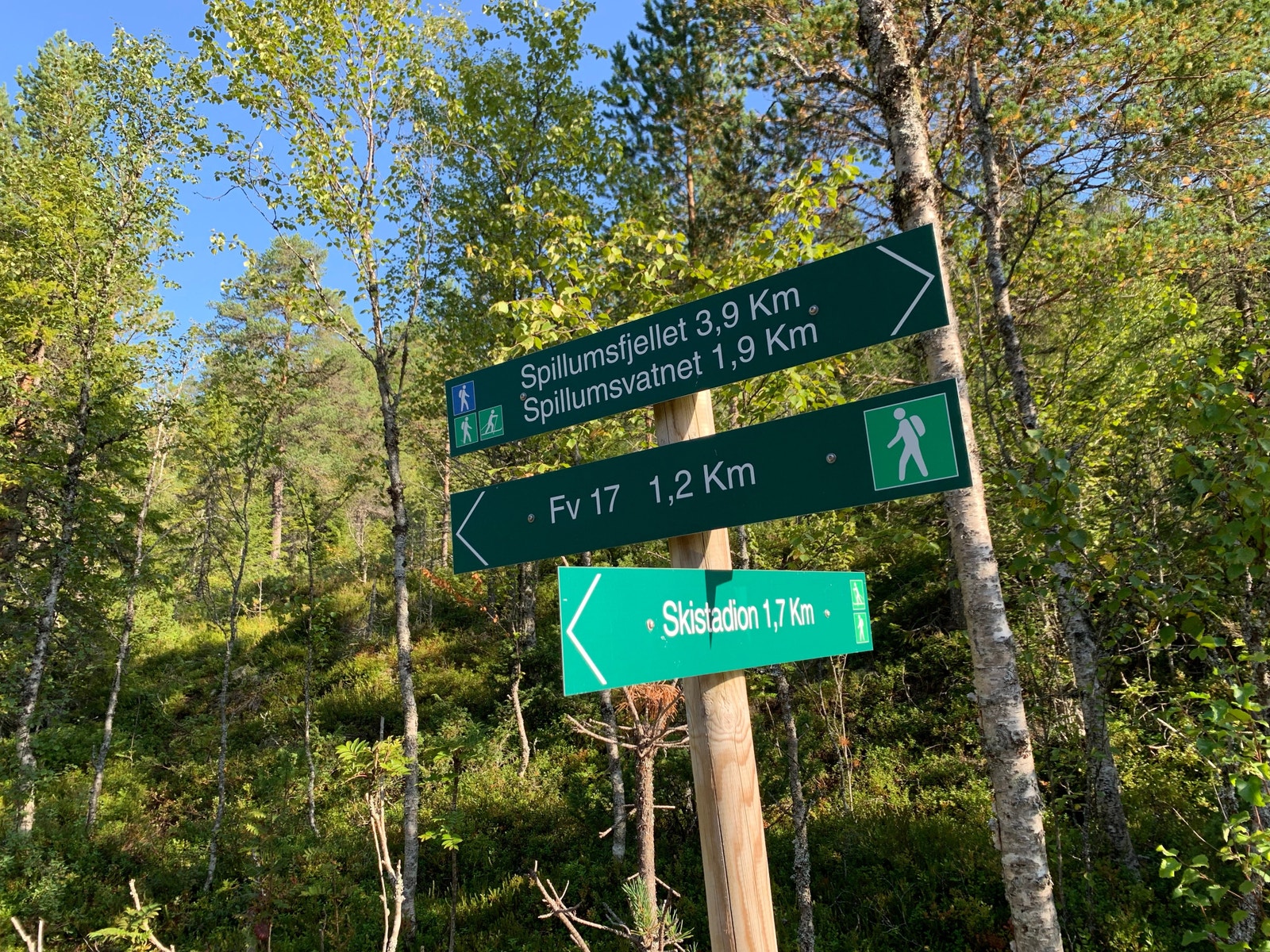 Spillumsåsen er tett på flere meget flotte turløyper sommer som vinter Galleribilde