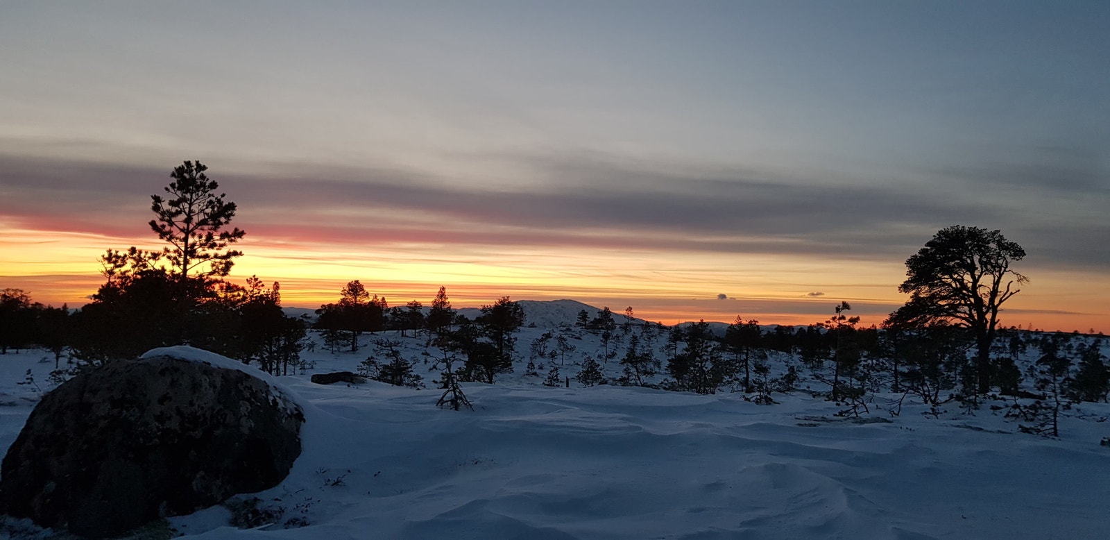 Foto: Ragnhild Eidshaug Galleribilde