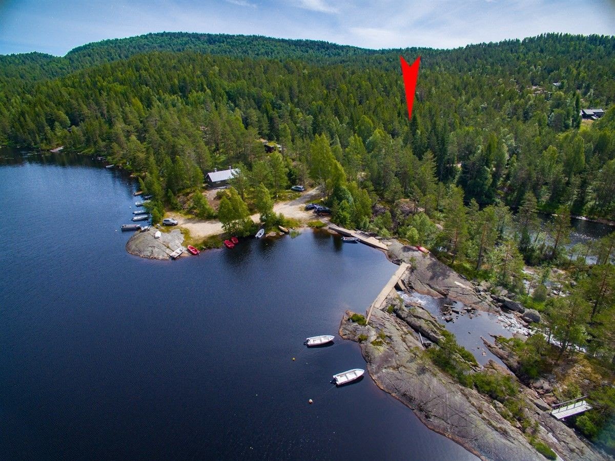 Området Galleribilde
