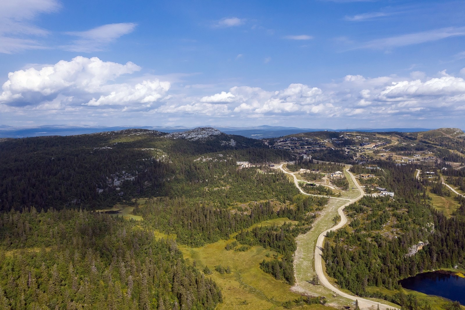 Tomtefeltet med Kvitfjelltoppen i bakgrunnen. Galleribilde