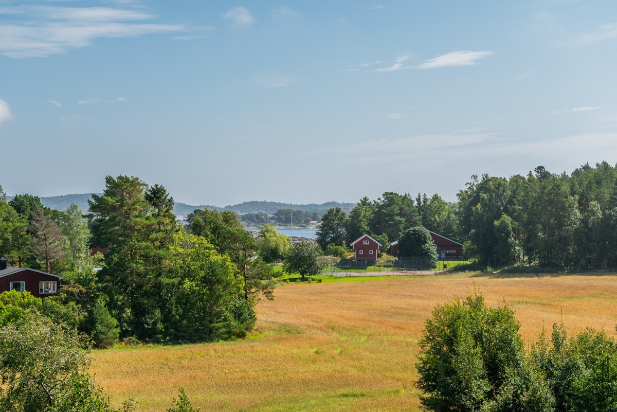 Utsikt fra eiendommen. Det gir en ro å kunne se naturbildet forandrer seg med årstidene. Her er det nesten rådyr-garanti Galleribilde