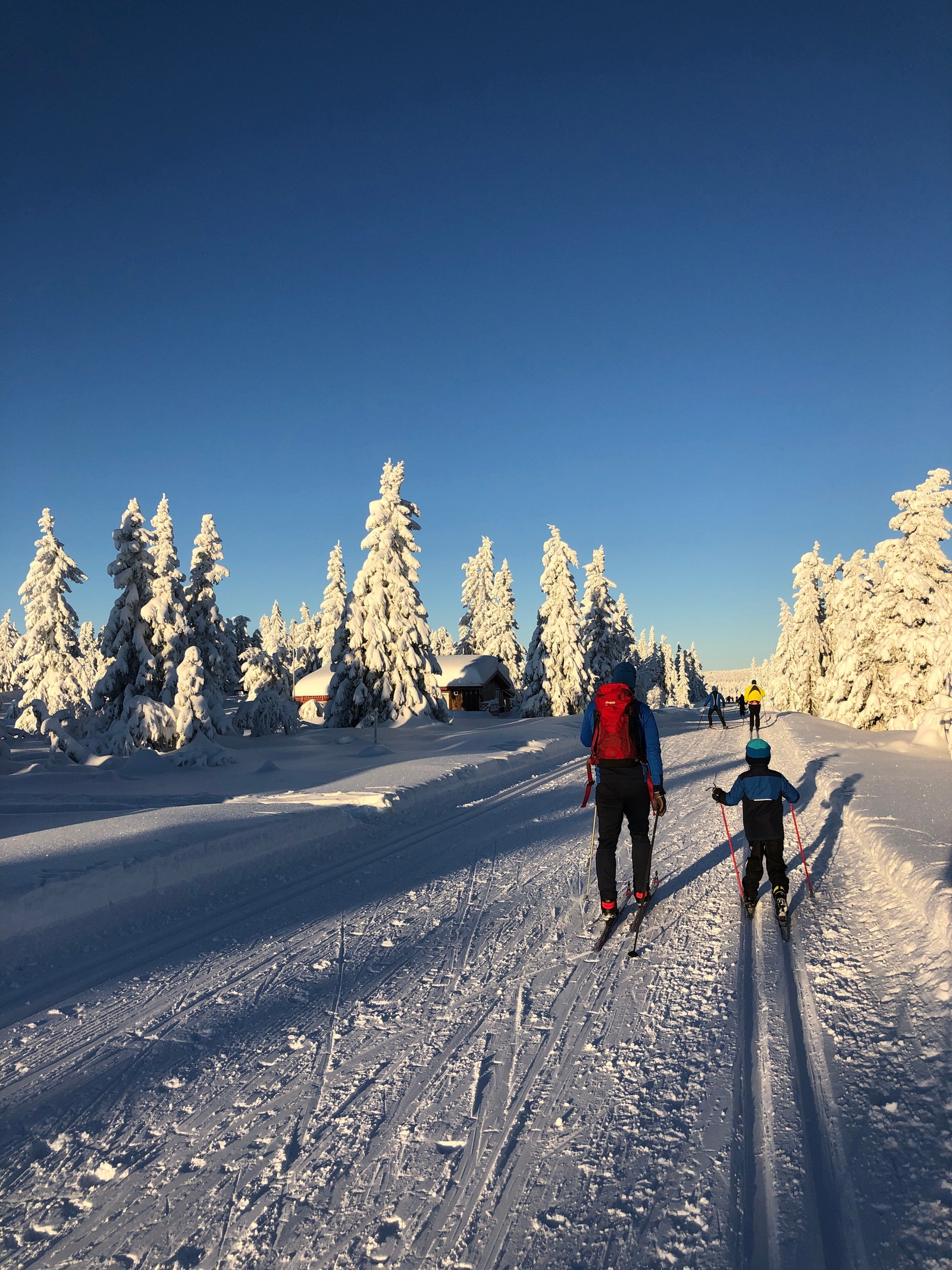 Løypenettet passer for alle Galleribilde