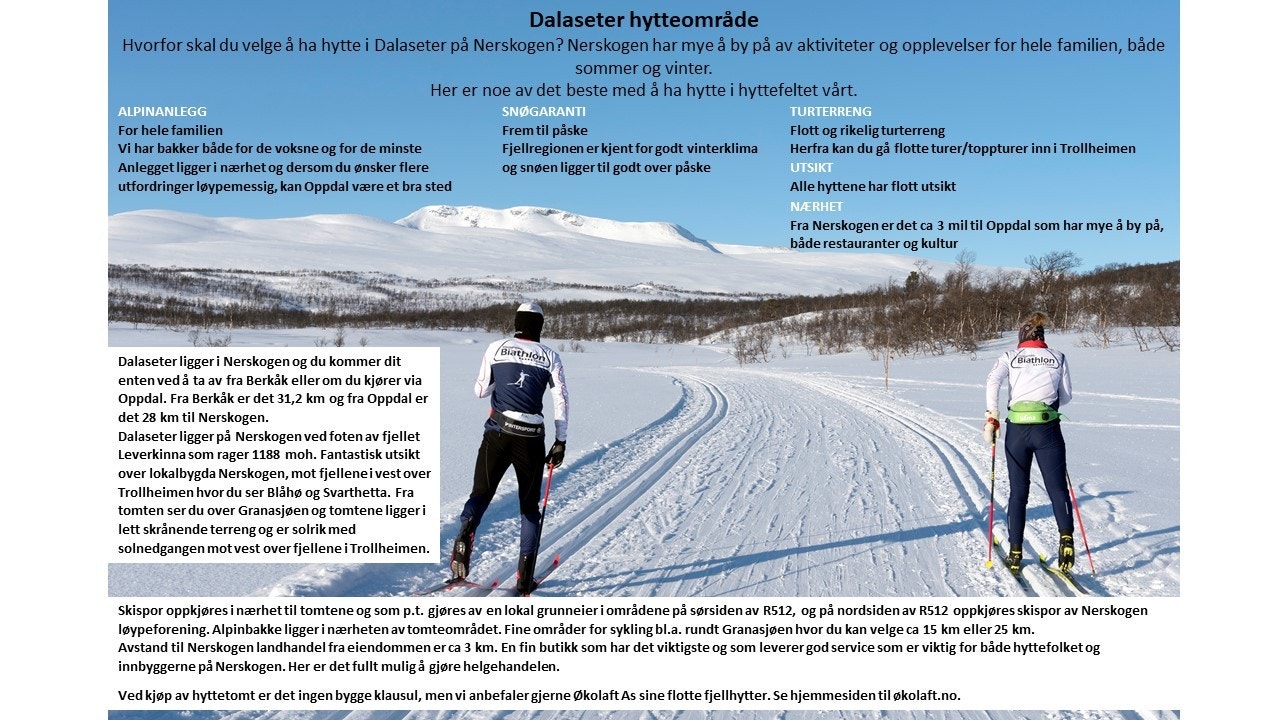 Presentasjon.jpg Galleribilde