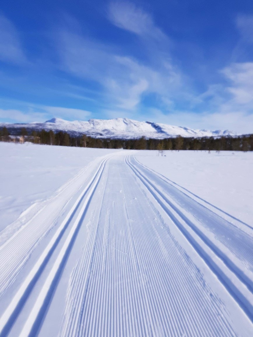 skiløypa.jpg Galleribilde