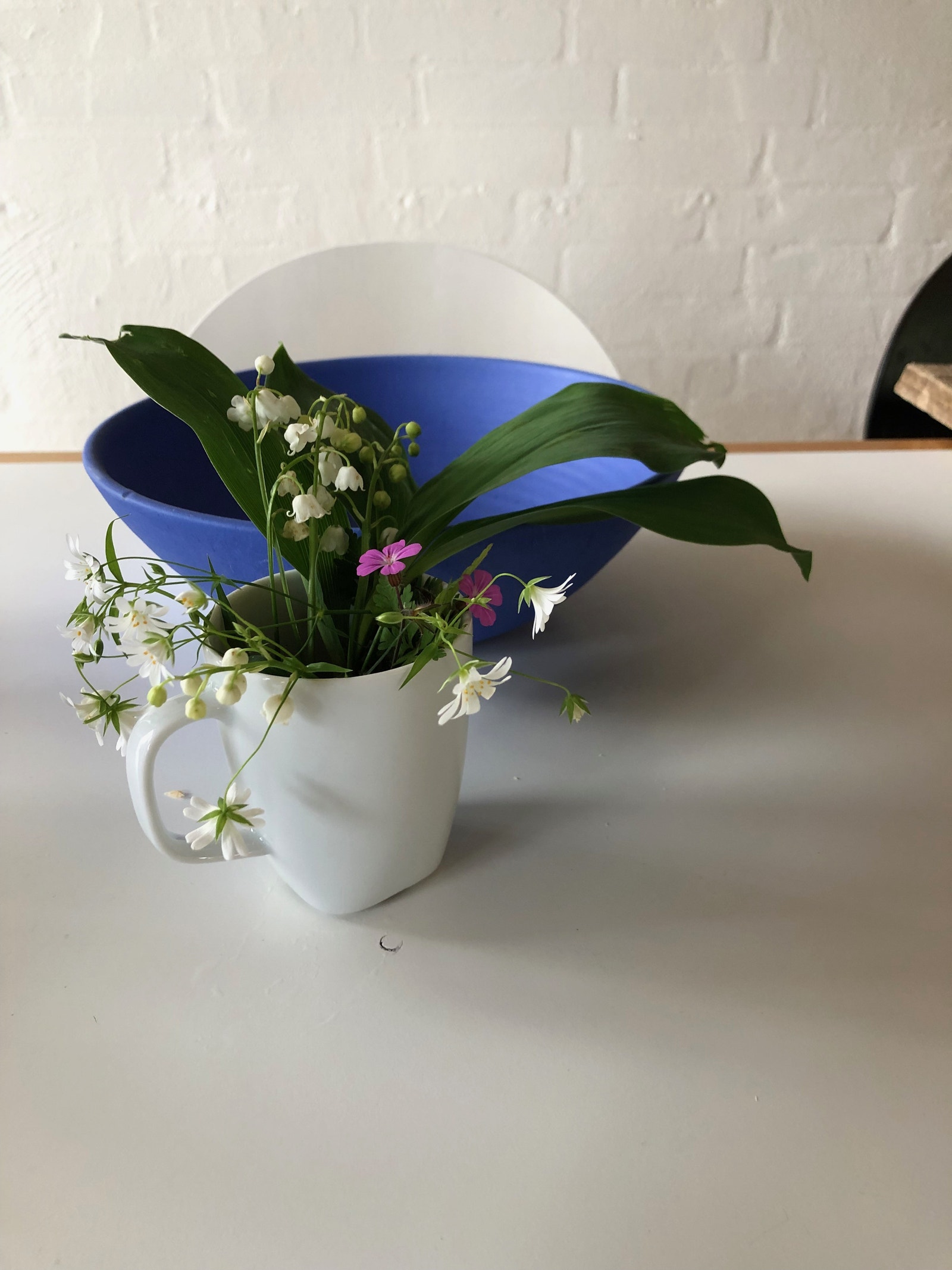 Velkommen! Galleribilde