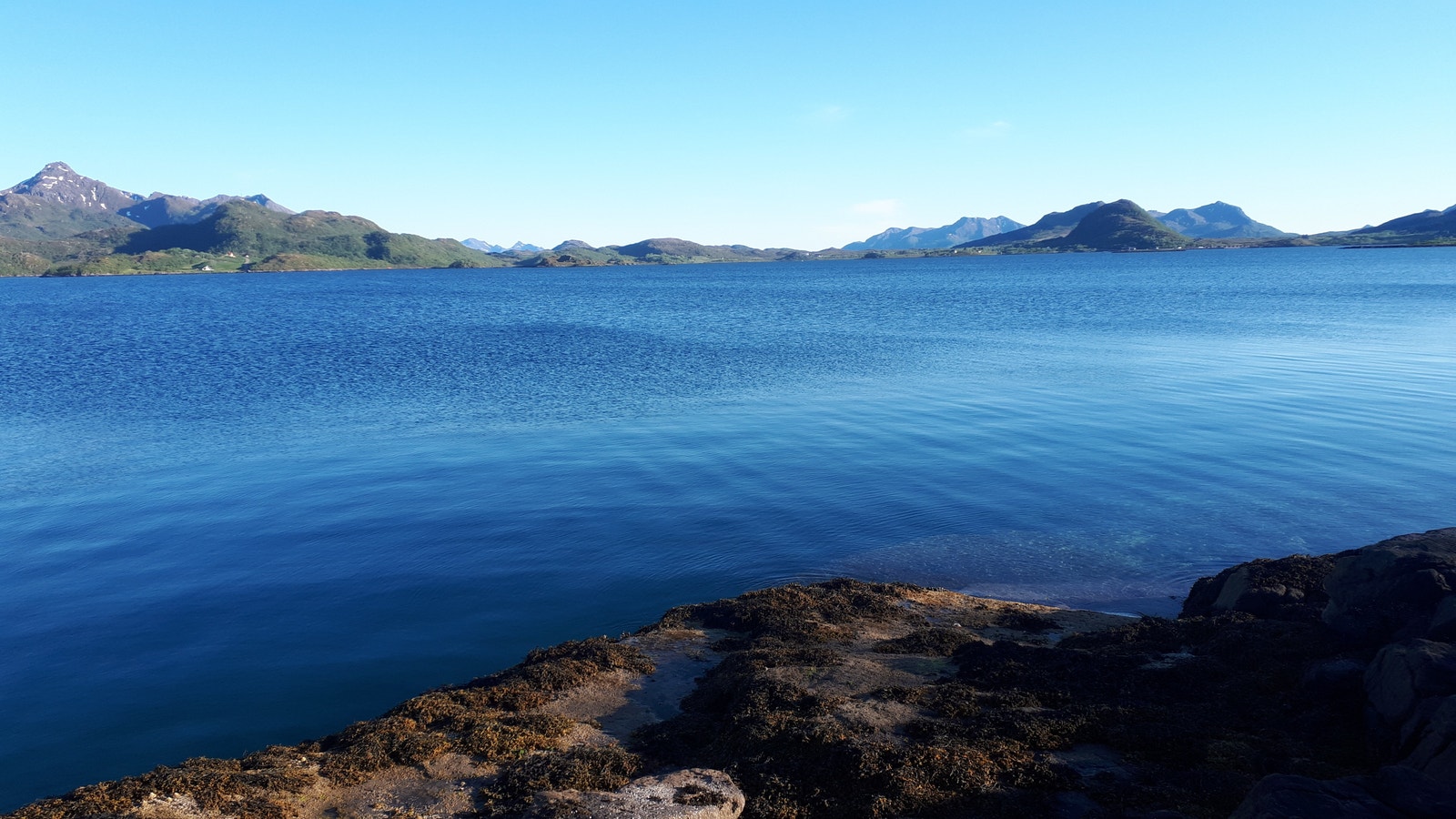 Utsikt fra brygga mot sør Galleribilde