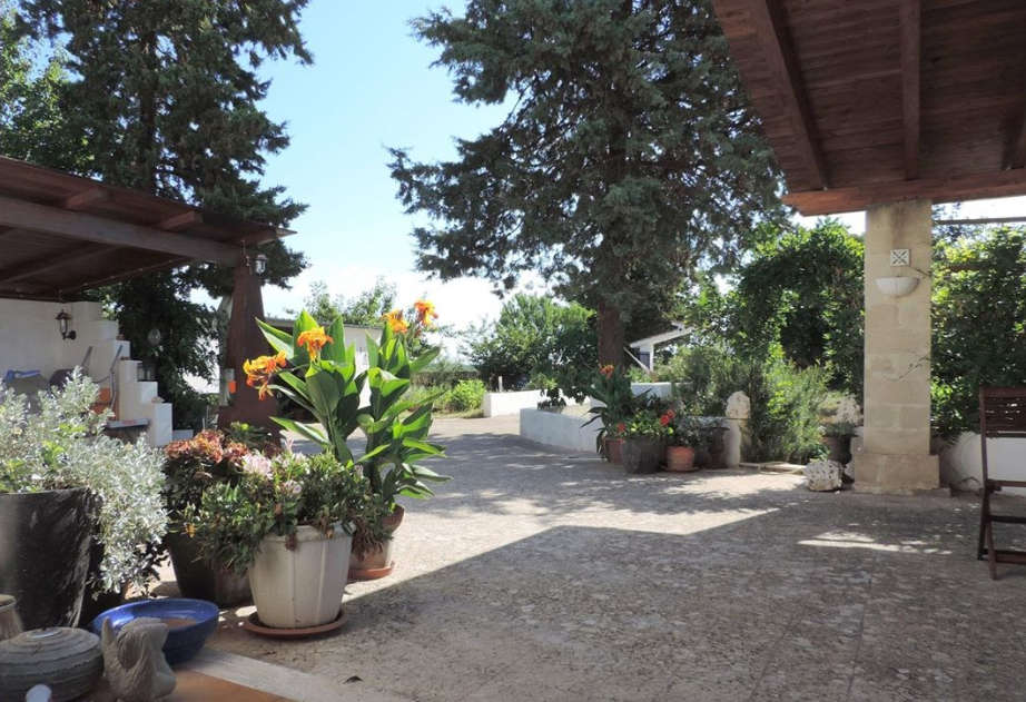 Utsikten fra ytterdøren en sommerdag. Galleribilde