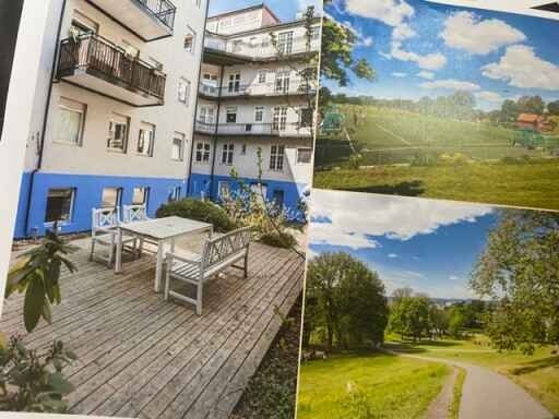 Gårdsplass og Tøyenparken Galleribilde