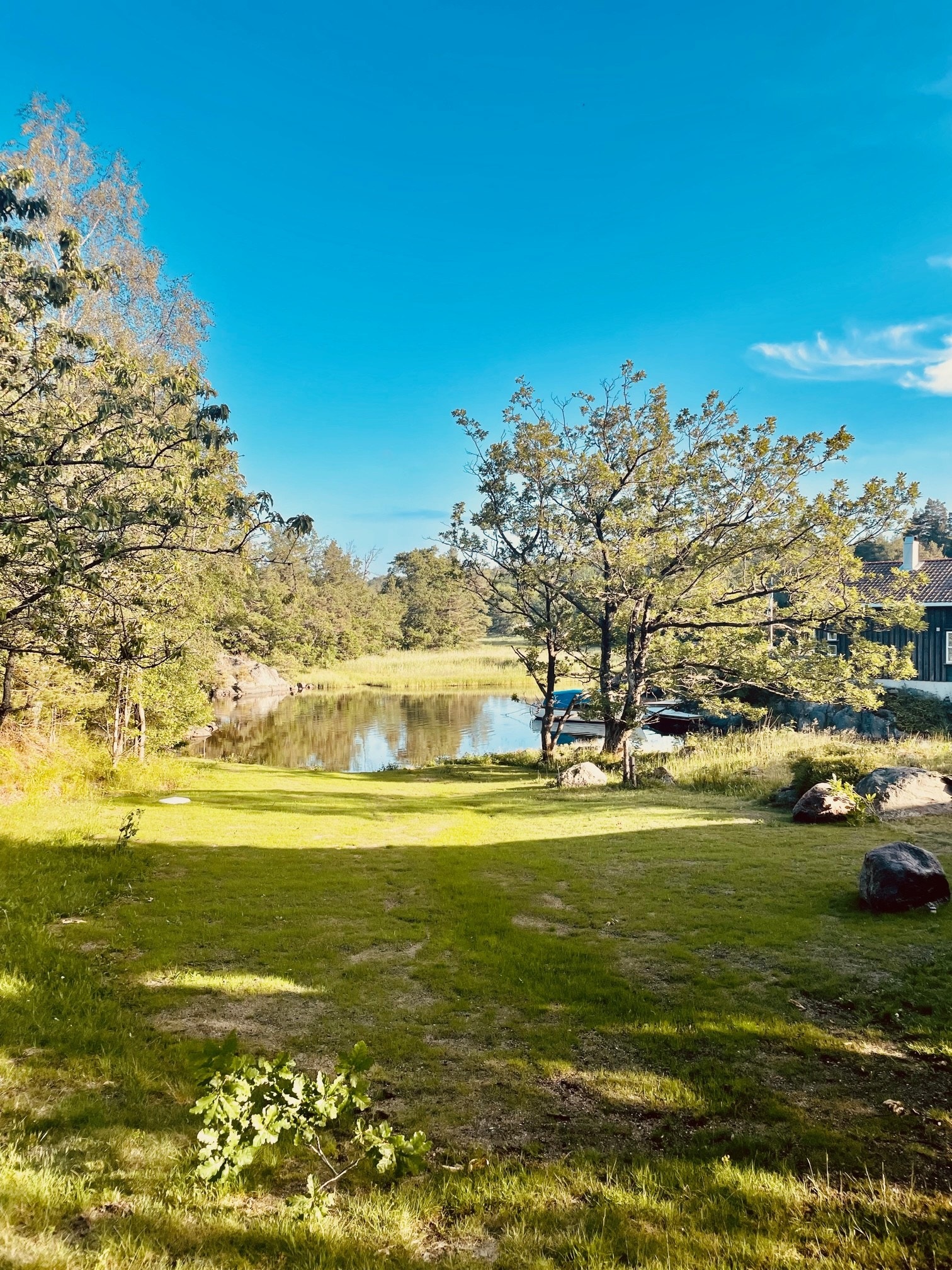8 mål tomt med god boltreplass til flere familier. Galleribilde