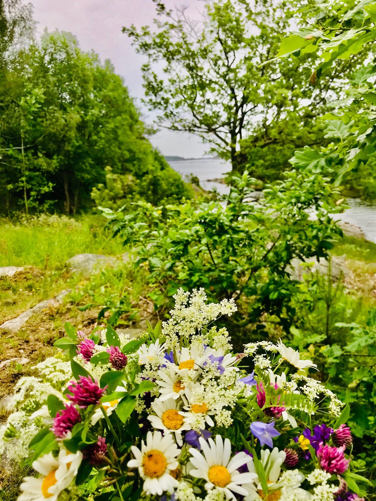 Det vokser både fargerike blomster og grønne planter på eiendommen. Galleribilde