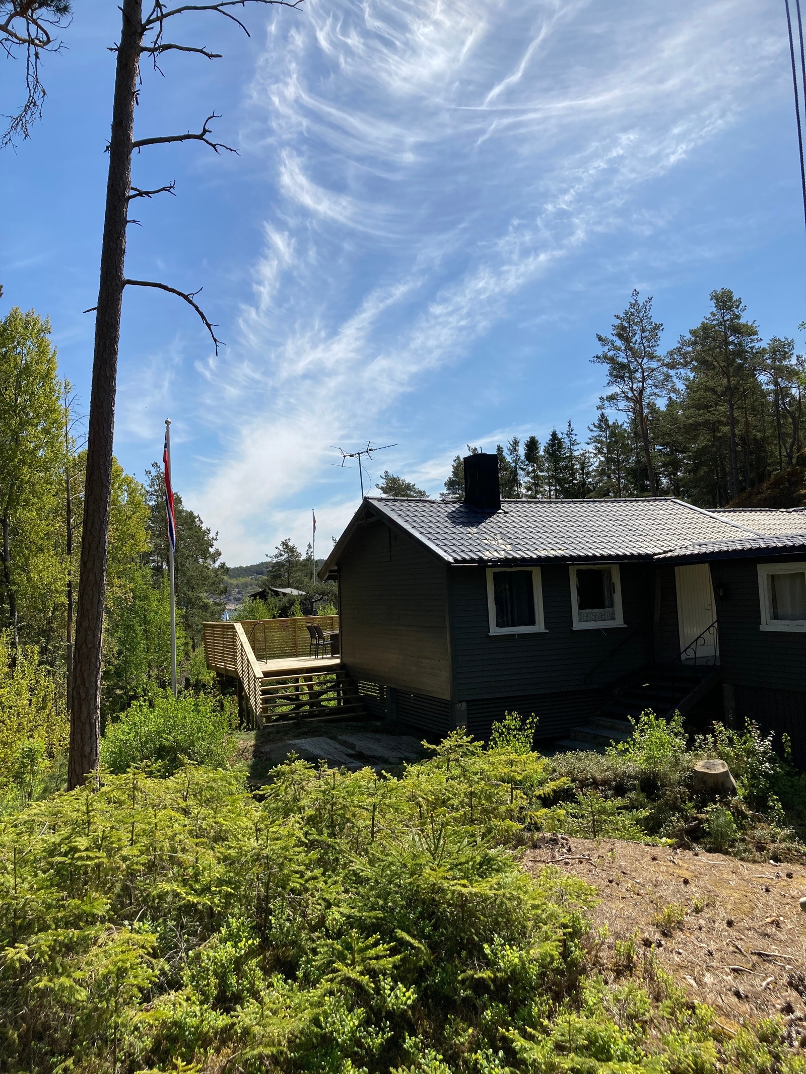 Oversiktsbilde bakside. Galleribilde