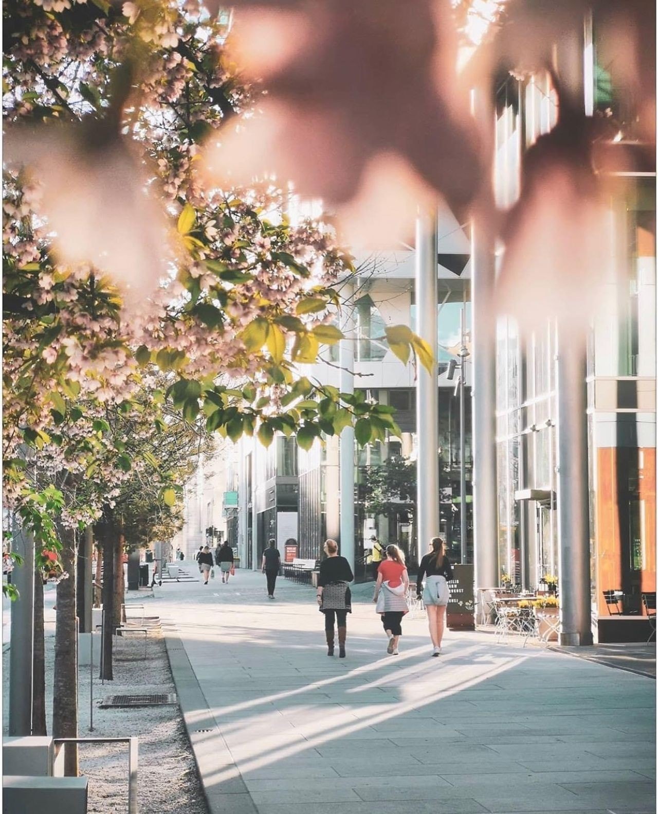 Nærområdet Galleribilde