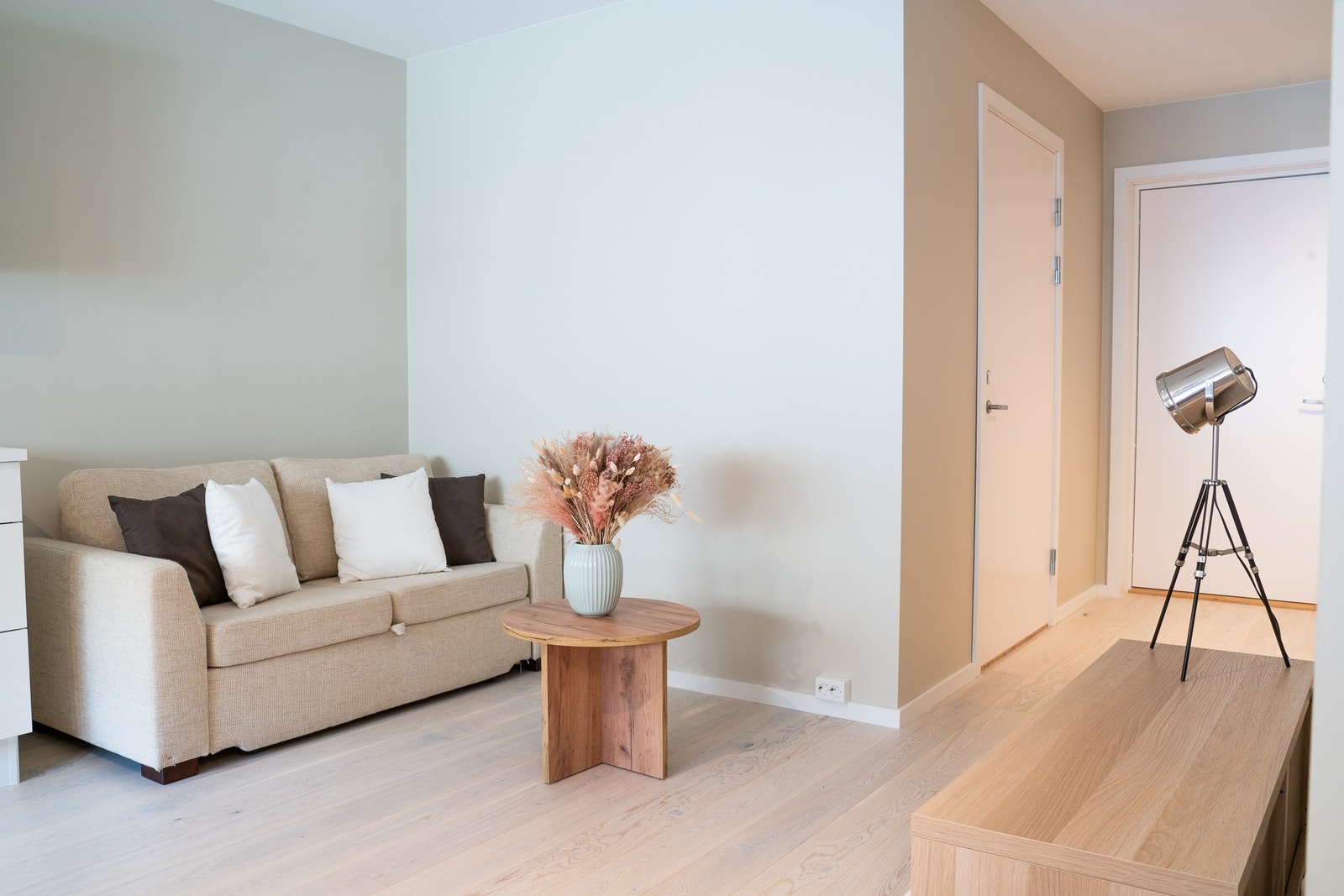 Stue med sovesofa Galleribilde