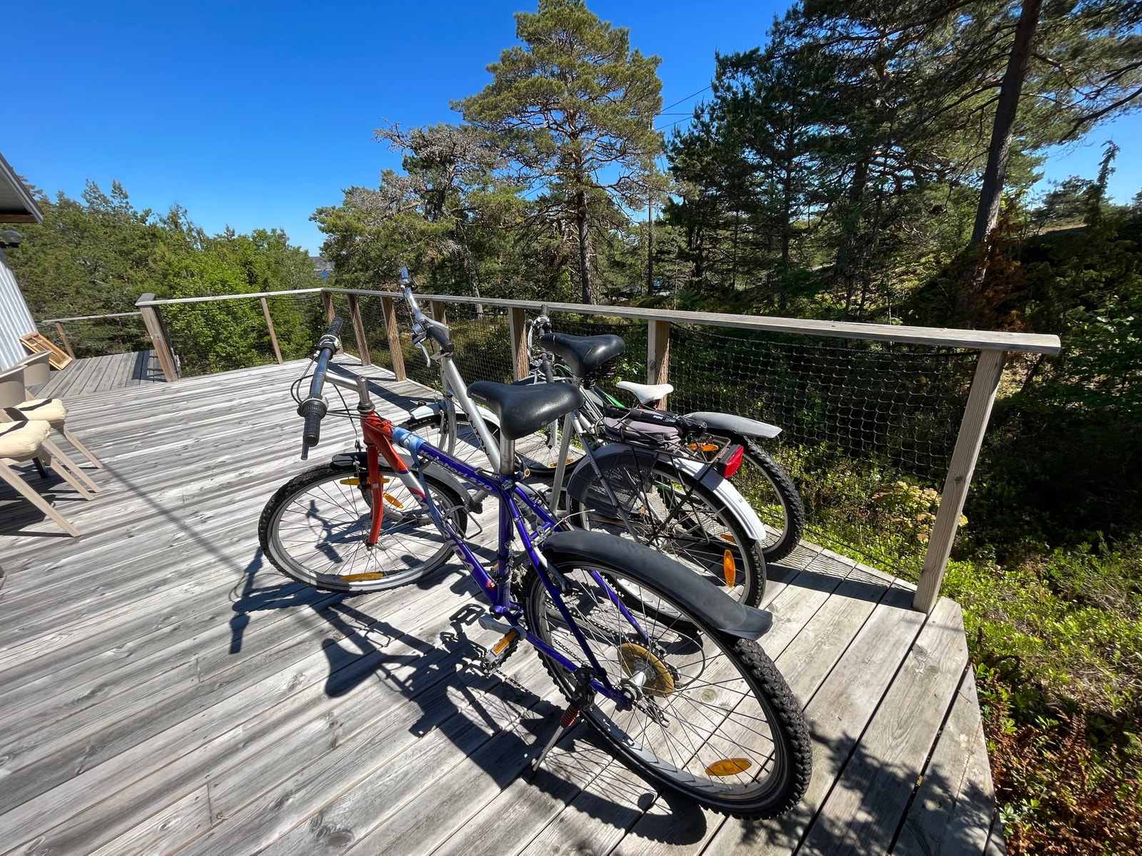 2 sykler til voksne og 1 sykkel i juniorstørrelse Galleribilde