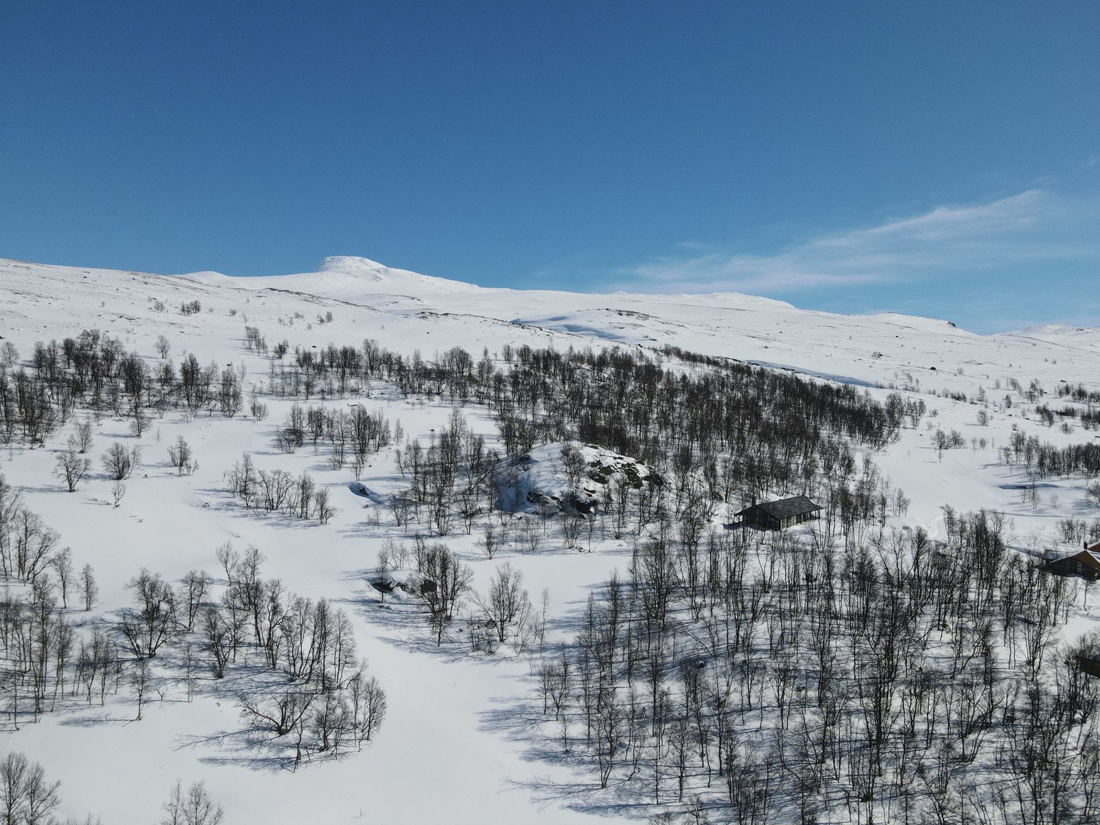 Hyttene legges ned i terrenget og inn i bakken slik at de forsvinner i stor grad i terrenget, og det gjøres minst mulig inngrep under byggearbeidene. Galleribilde