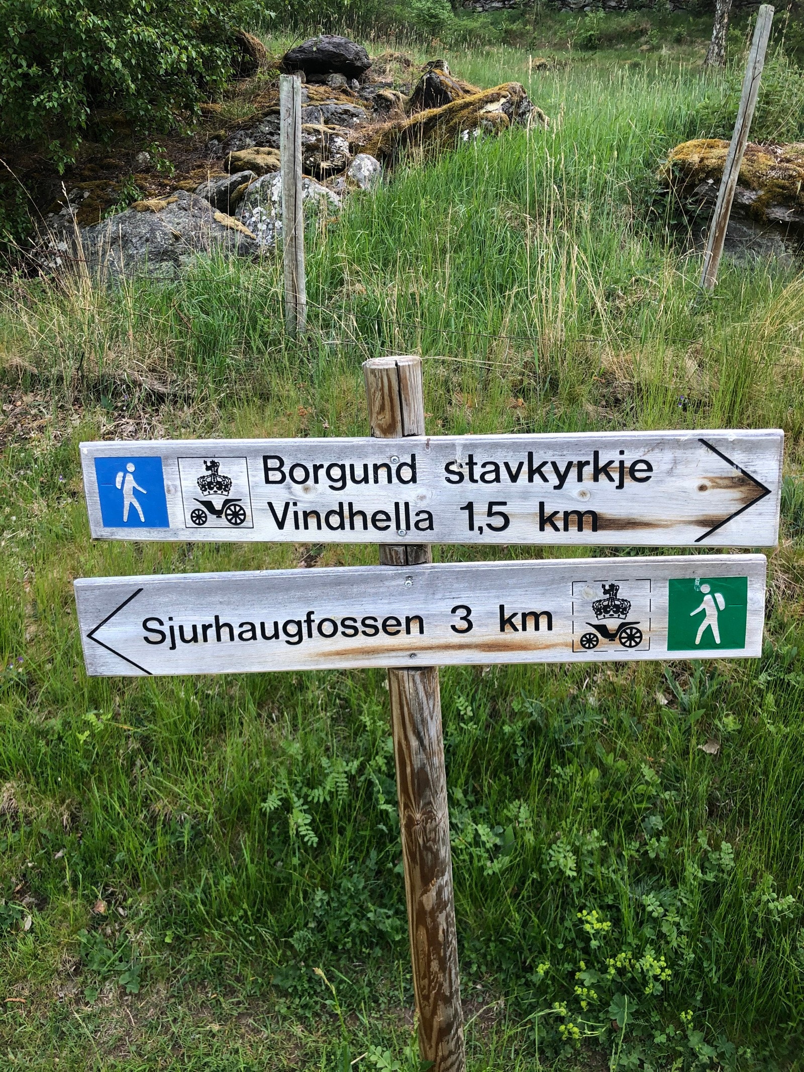 ... Galleribilde