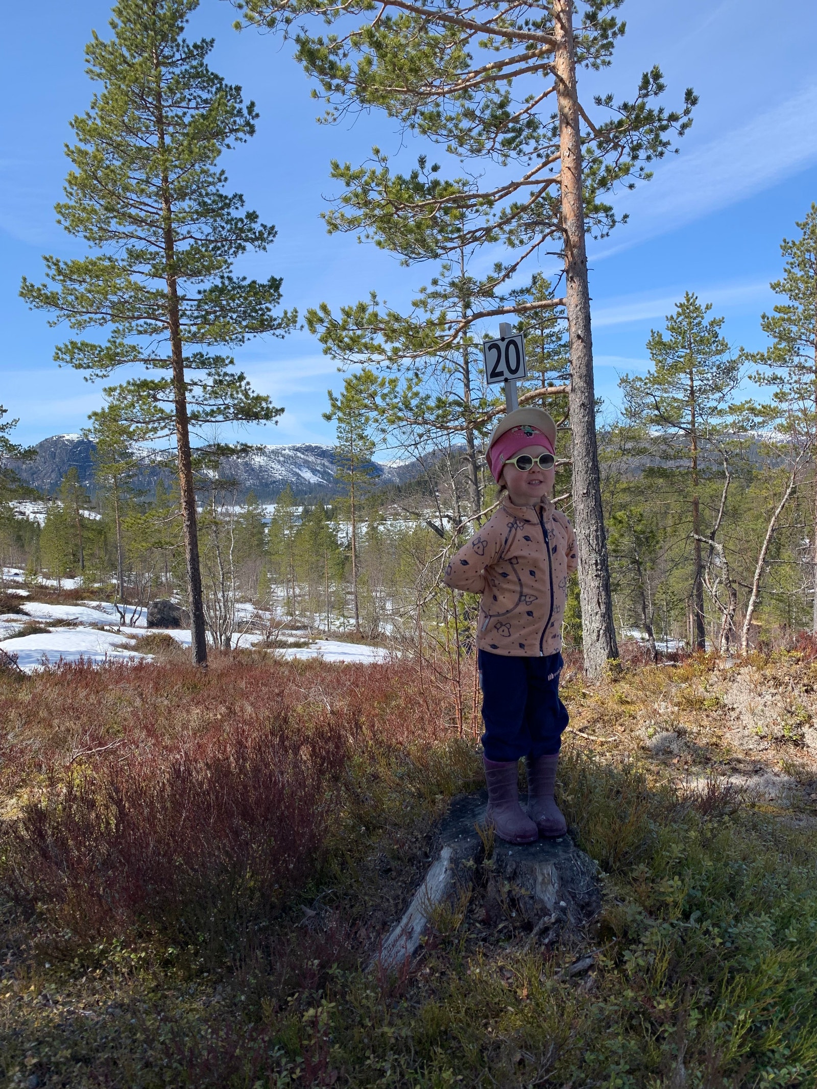 Tomt 20 i Fisketjønn hyttefelt Galleribilde