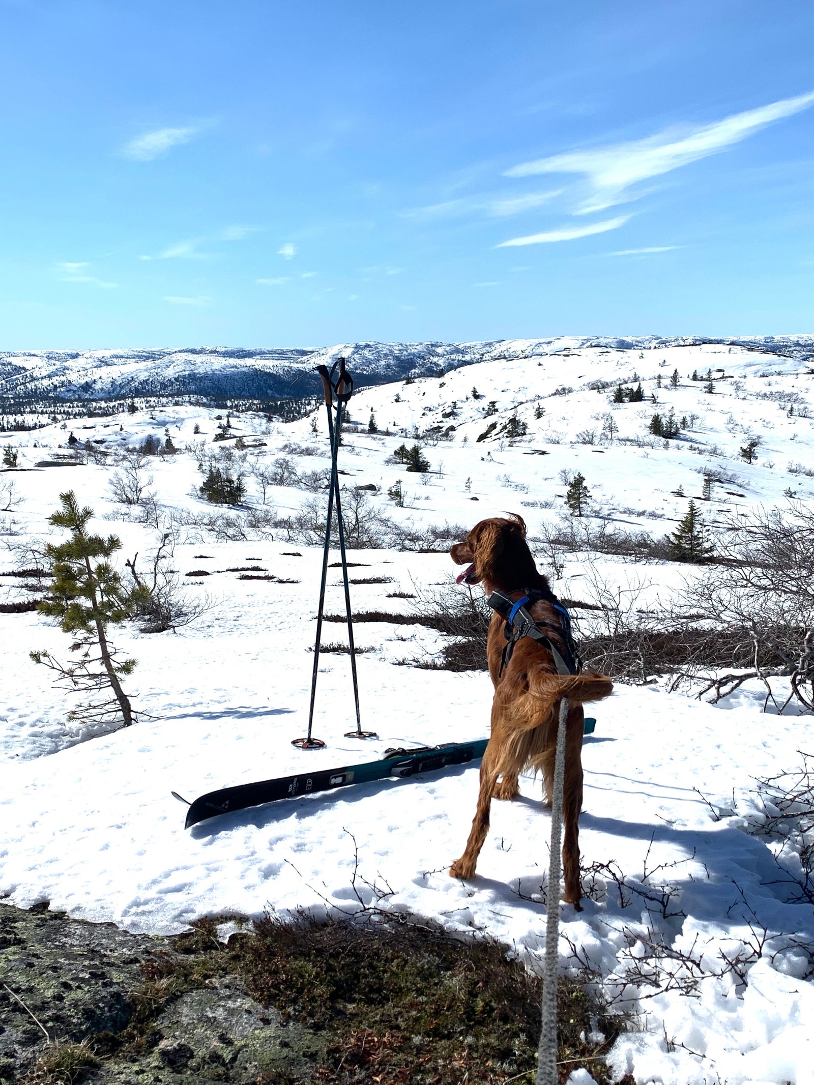 Heiane er vide og eit eldorado :) Galleribilde