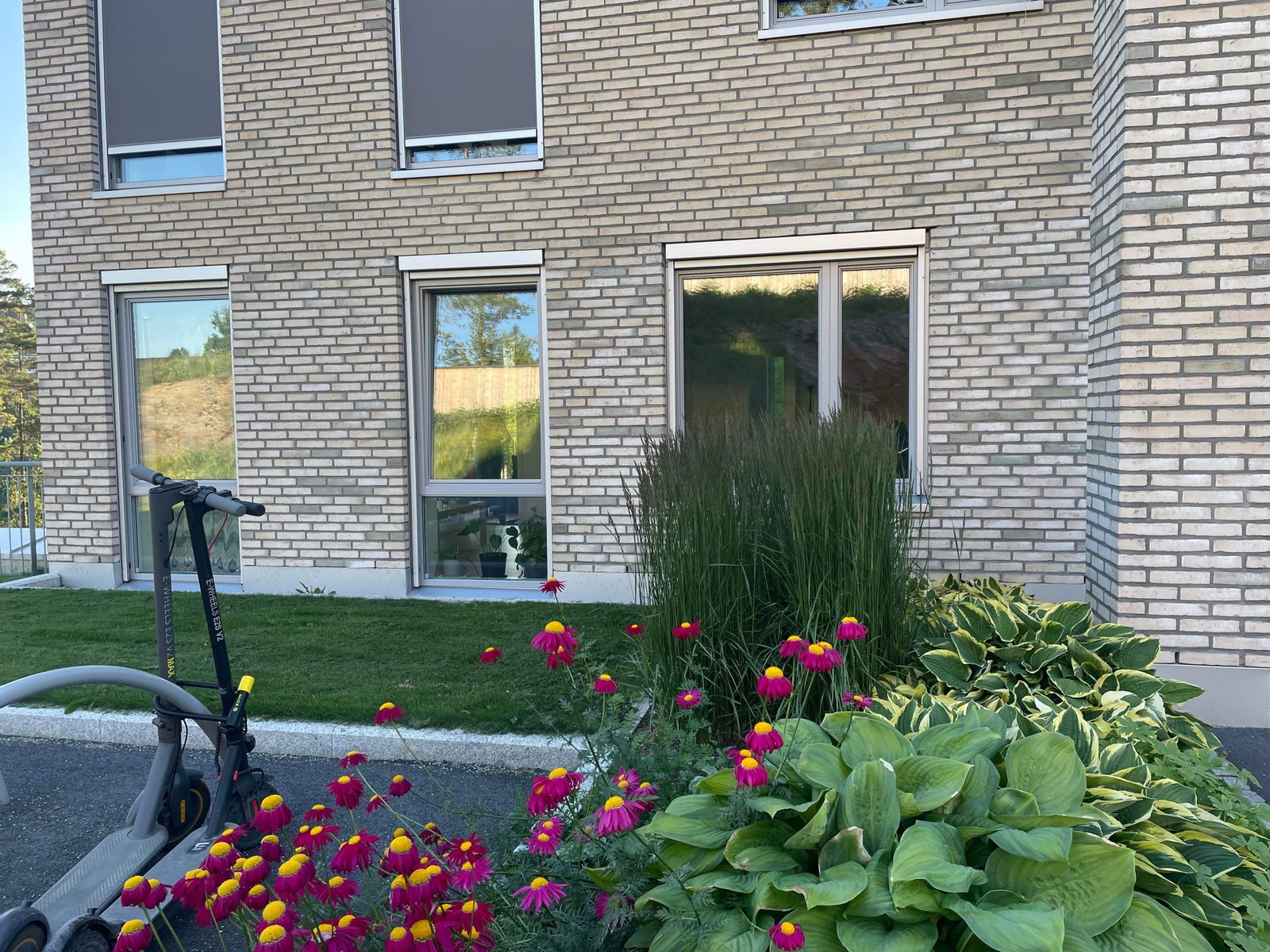 Store vinduer gir mye lys Galleribilde