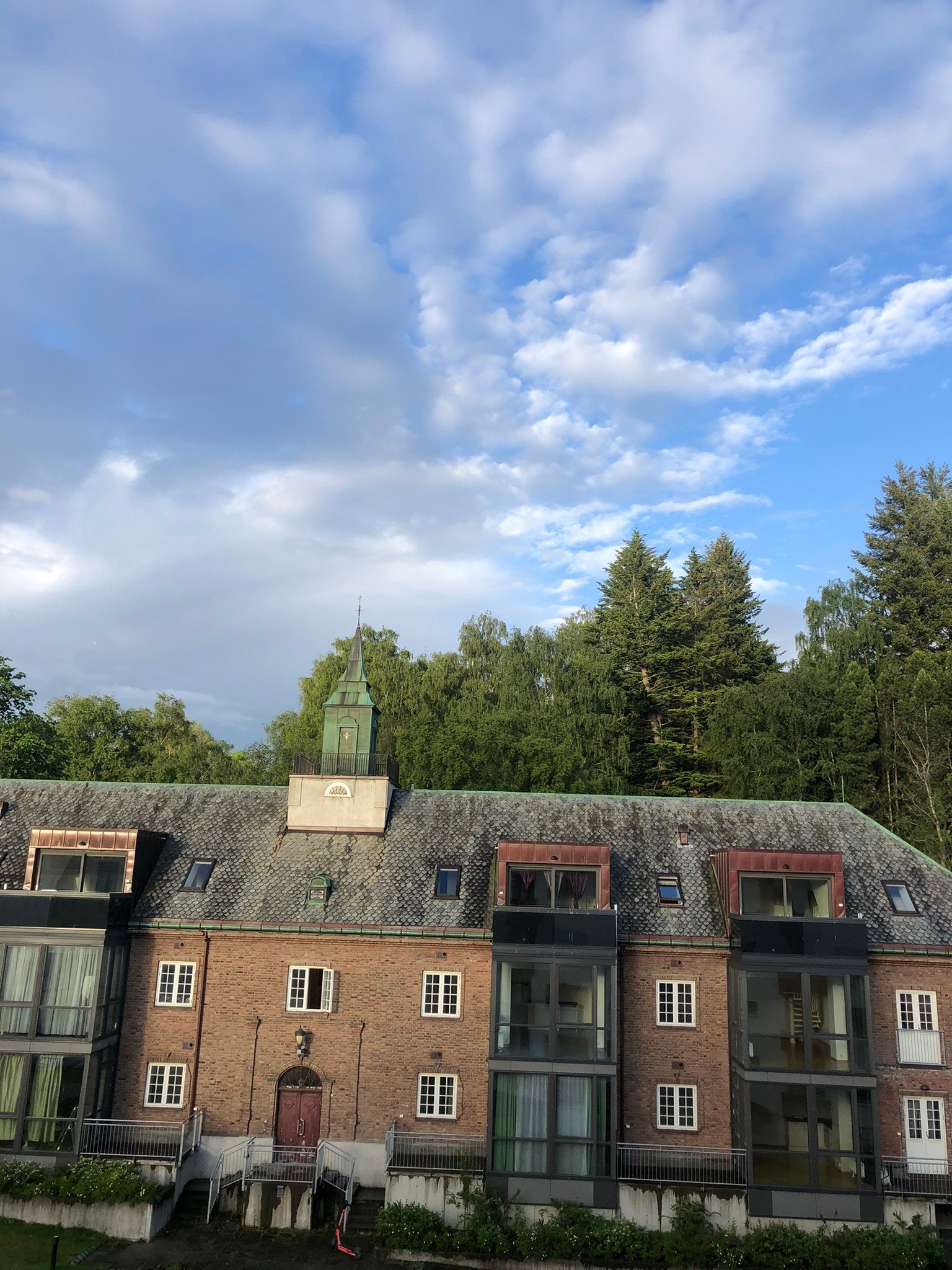 Park og skogholt i retning Gløshaugen Galleribilde