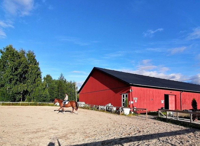 Rideskole Galleribilde