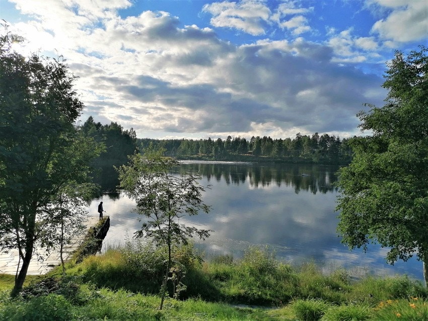 Fiske i Glomma er populært Galleribilde